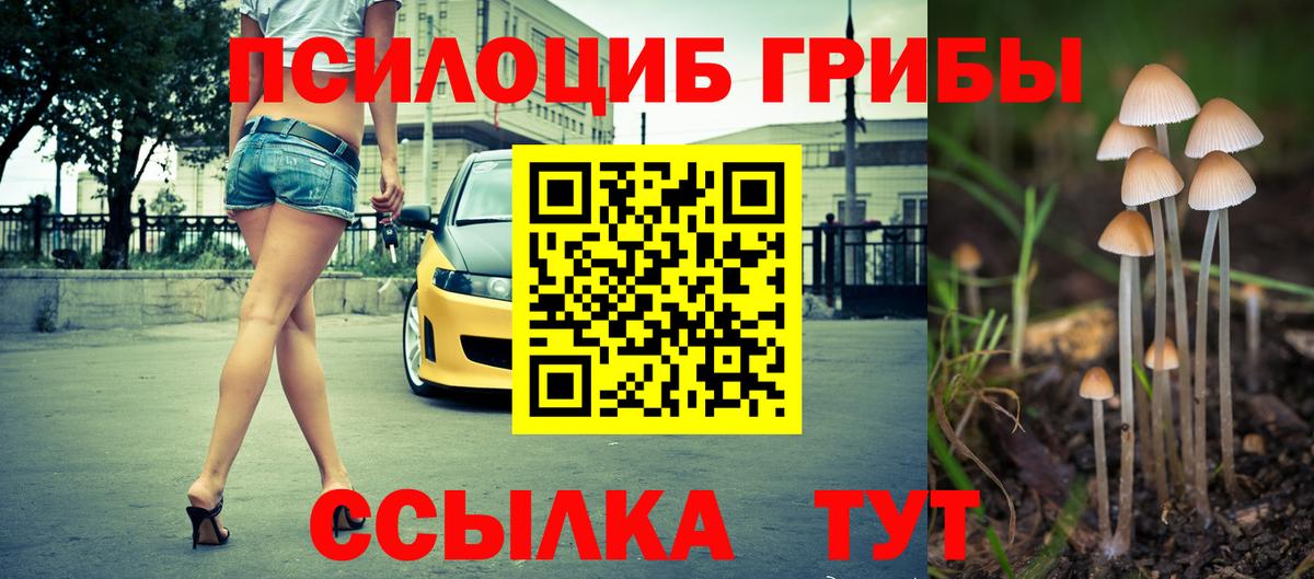 Псилоцибиновые грибы MAGIC MUSHROOMS Электрогорск